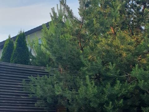 будинок за адресою Сім'ї Забарило вул.