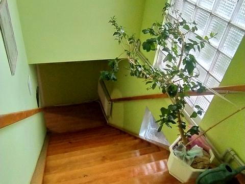 дом по адресу Петра Лещенко ул. (Комінтерну)