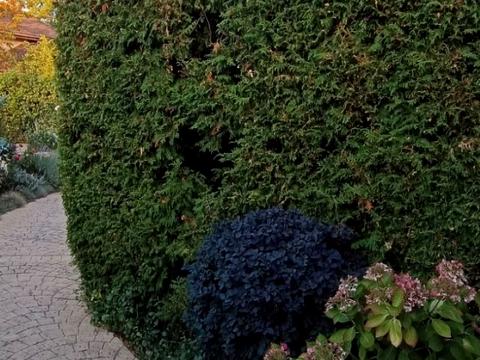 будинок за адресою Дачна вул., 8а