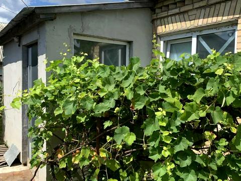 квартира по адресу Новая ул., 8