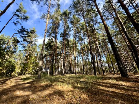 ділянка за адресою Чубаря