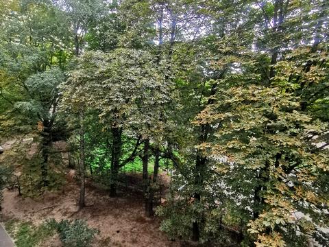 квартира по адресу Шовкуненка ул., 5