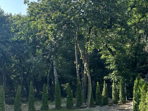 будинок за адресою Гореницька