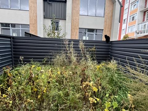 дом по адресу Молодецька, 35