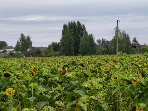 участок по адресу 2-га Лінія, 13/15