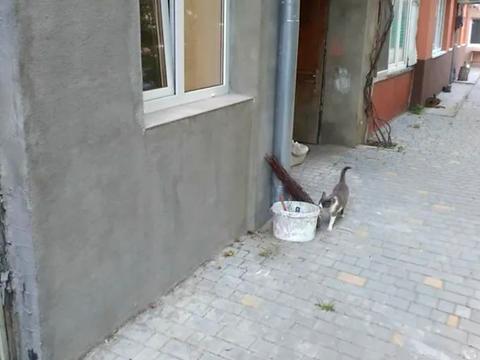 квартира за адресою Ніжинська вул., 48