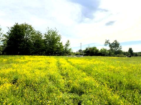 участок по адресу Івана Франка