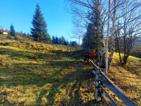 участок по адресу пгт. Верховина, вул. Невестюка