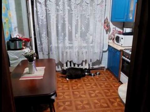 квартира за адресою Велика Набережна вул. (50-річчя СРСР), 57