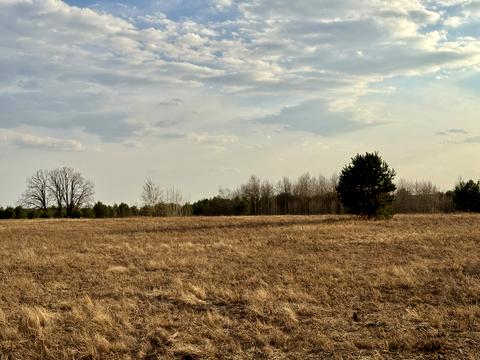 участок по адресу 