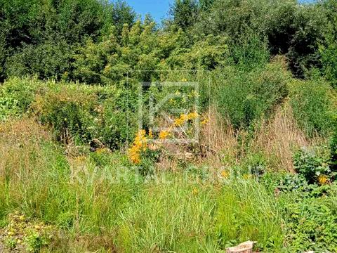 участок по адресу Грибна, 11/2