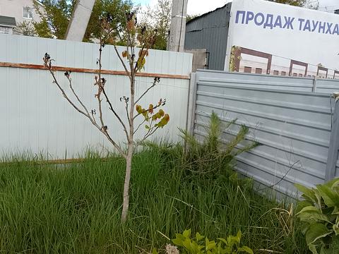 ділянка за адресою Надажинська