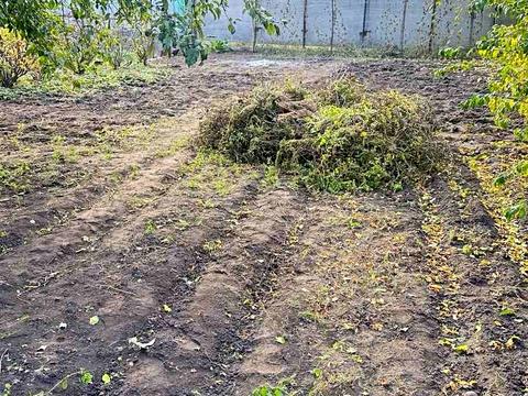будинок за адресою смт. Рокитне, Червона Січ