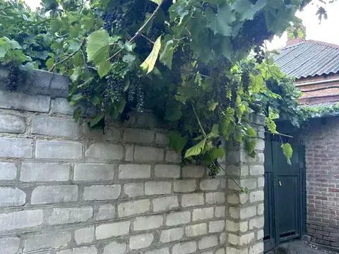 дом по адресу Єгорова, 1
