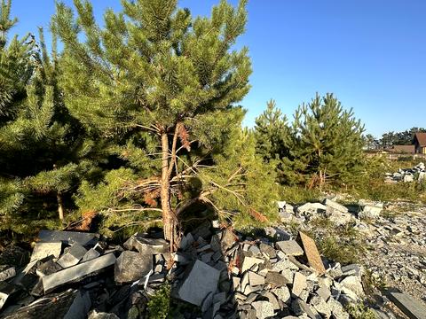 участок по адресу Західна