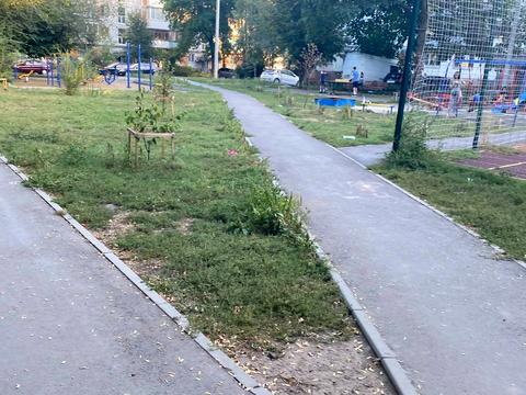 квартира по адресу Алана Шепарда ул. (Суворова), 13