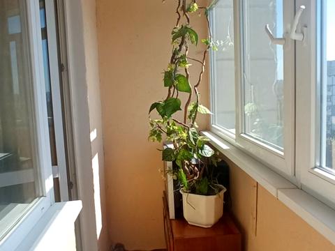квартира по адресу Тракторостроителей просп., 128