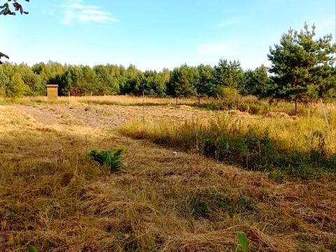 участок по адресу Панаса Мирного, 53