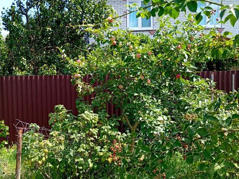 будинок за адресою Центральна вул. (Пролетарська), 79/80