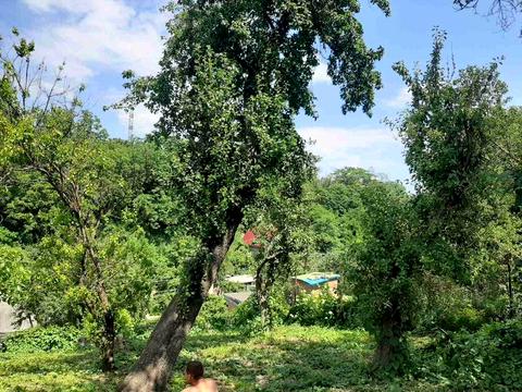 будинок за адресою Володимира Брожка вул. (Кіровоградська)