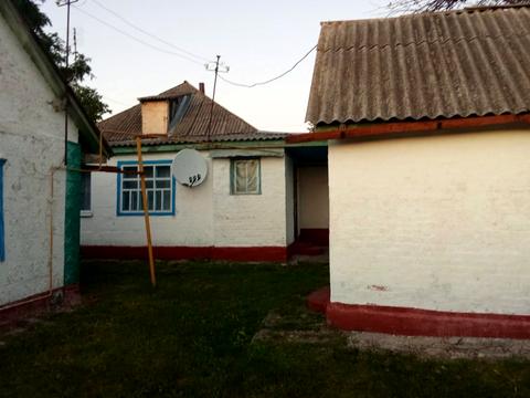 дом по адресу пгт. Драбов, Незалежності