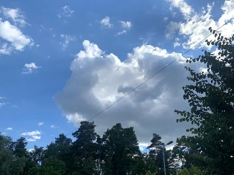 квартира по адресу Валерия Лобановского ул., 11