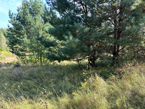 ділянка за адресою 