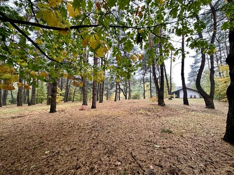 будинок за адресою Бориспіль, пригород