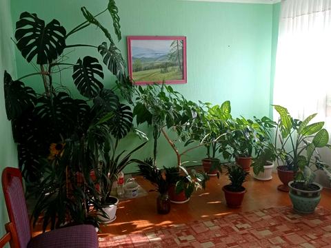 будинок за адресою Професора Антоновича, 2