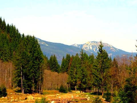 ділянка за адресою с. Стара Гута, 