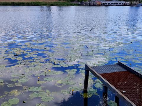 ділянка за адресою Набережна, 20