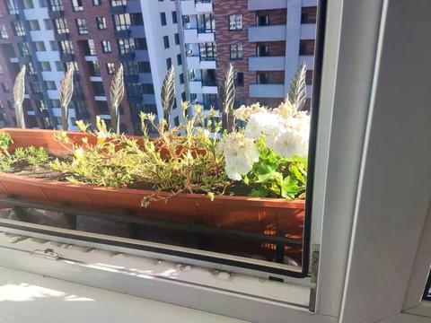 квартира за адресою Валерія Лобановського просп., 150-Д