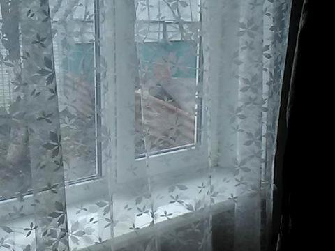 будинок за адресою Євгенія Саєнка вул., 75