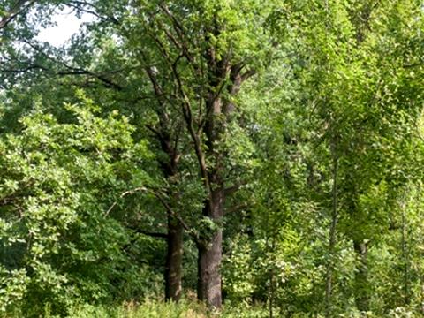 будинок за адресою Першотравнева