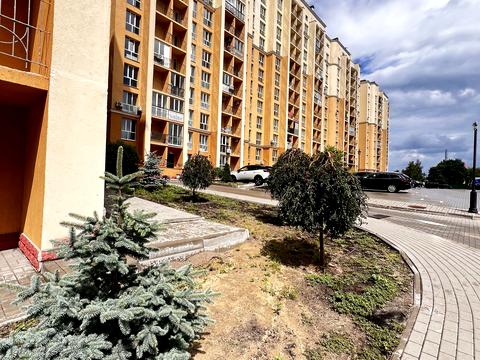 квартира за адресою Валерія Лобановського вул., 30