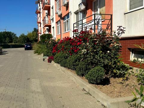 квартира по адресу Еньковская ул., 25