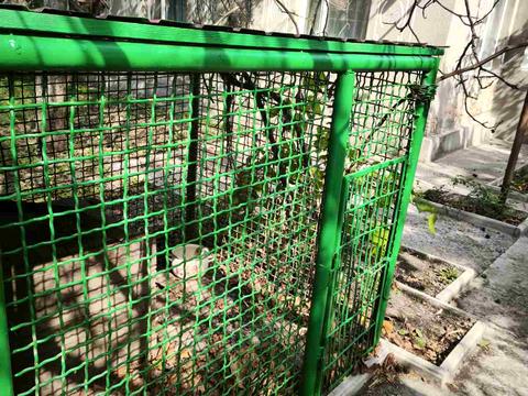 будинок за адресою Нова
