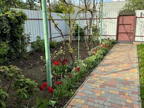 квартира по адресу Люстдорфская дорога ул., 35