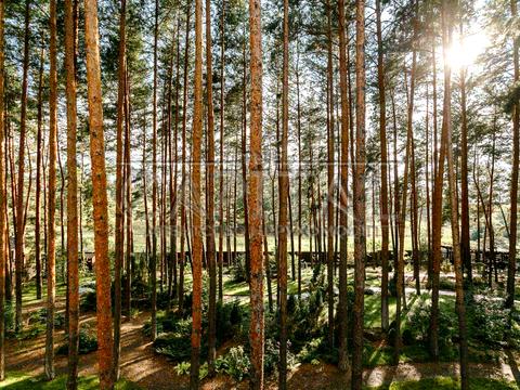 будинок за адресою Шевченка