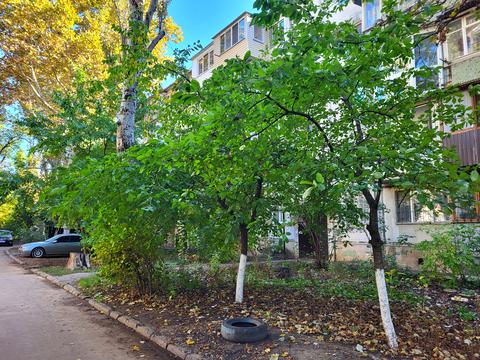 квартира по адресу Радостная ул., 7