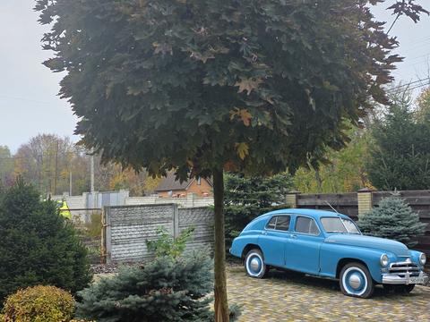 дом по адресу Флоринка