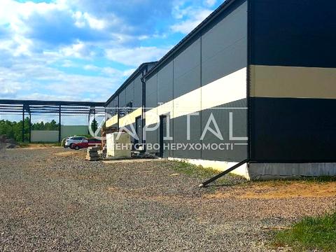 комерційна за адресою Соборна, 4