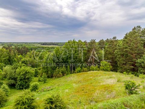 дом по адресу Лісова
