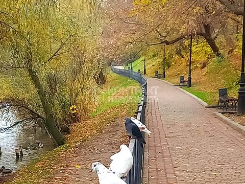 квартира за адресою Бучми вул. (Командарма Уборевича), 8б