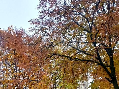 квартира за адресою Бучми вул. (Командарма Уборевича), 8б