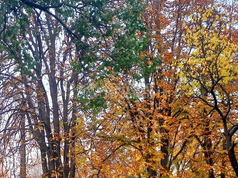 квартира за адресою Бучми вул. (Командарма Уборевича), 8б