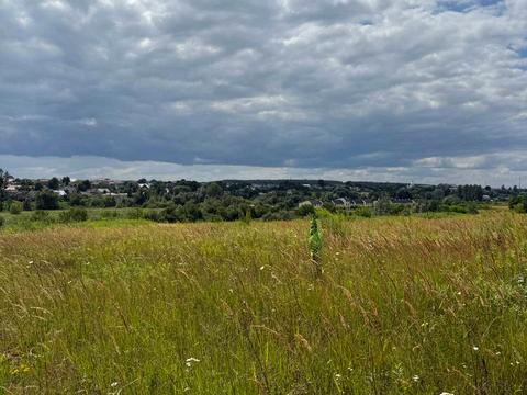 участок по адресу с. Ременов, 