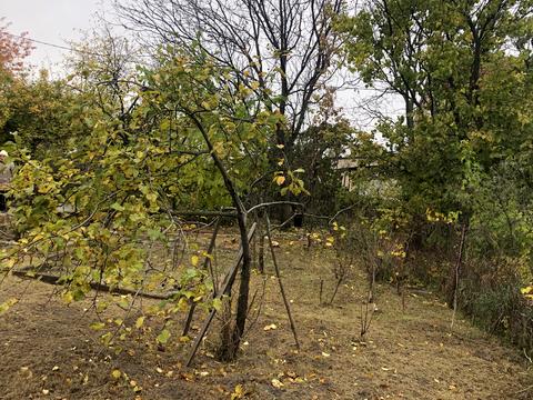 дом по адресу Виноградна