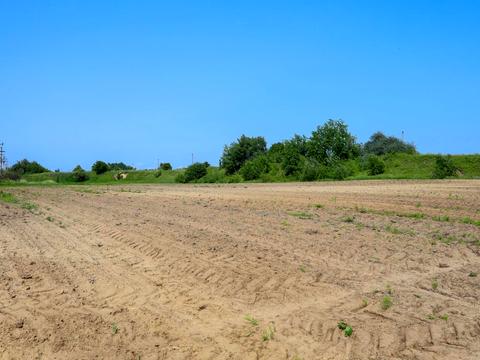 ділянка за адресою Петра Дорошенка вул.