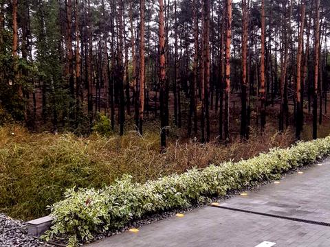 ділянка за адресою 